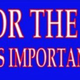 vote for the crook bumper sticker